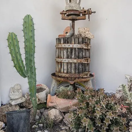 Grappolo Bed & Breakfast Ascea