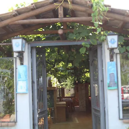 Bed & Breakfast Grappolo Affittacamere Ascea
