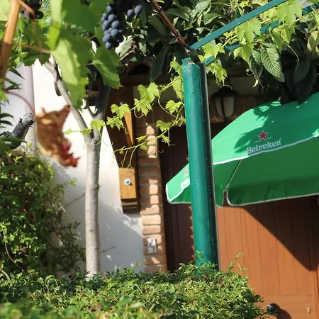 Bed & Breakfast Grappolo Affittacamere